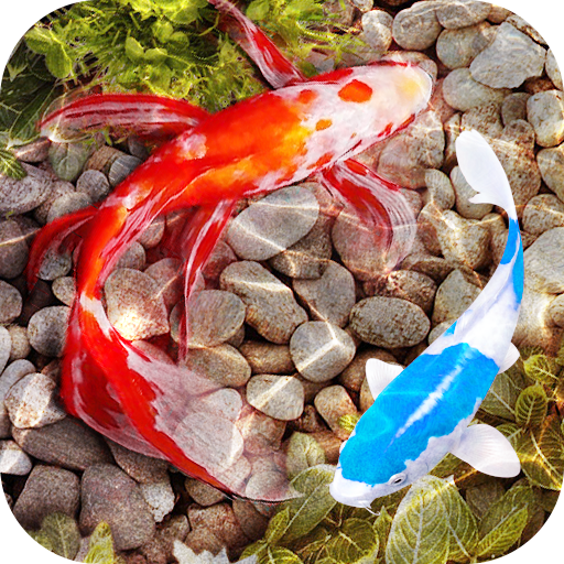 3D Fish Tank Live Wallpaper icon